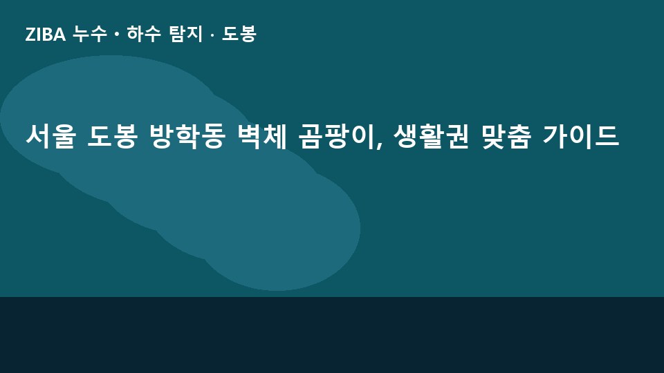 서울 도봉 방학동 벽체 곰팡이, 생활권 맞춤 가이드