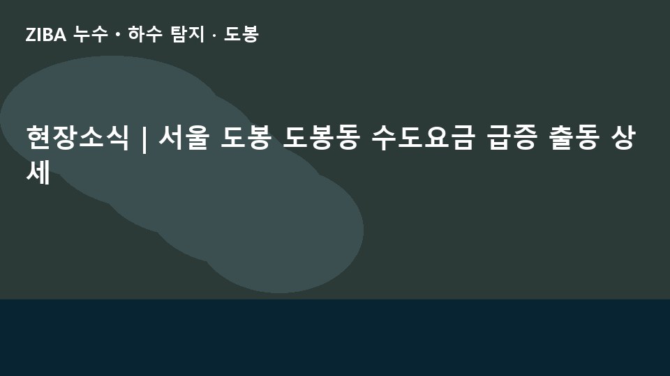 현장소식 | 서울 도봉 도봉동 수도요금 급증 출동 상세