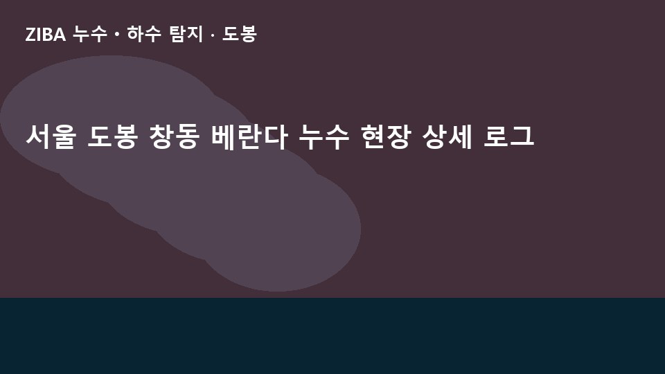 서울 도봉 창동 베란다 누수 현장 상세 로그