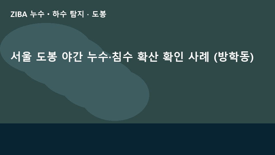 서울 도봉 야간 누수·침수 확산 확인 사례 (방학동)