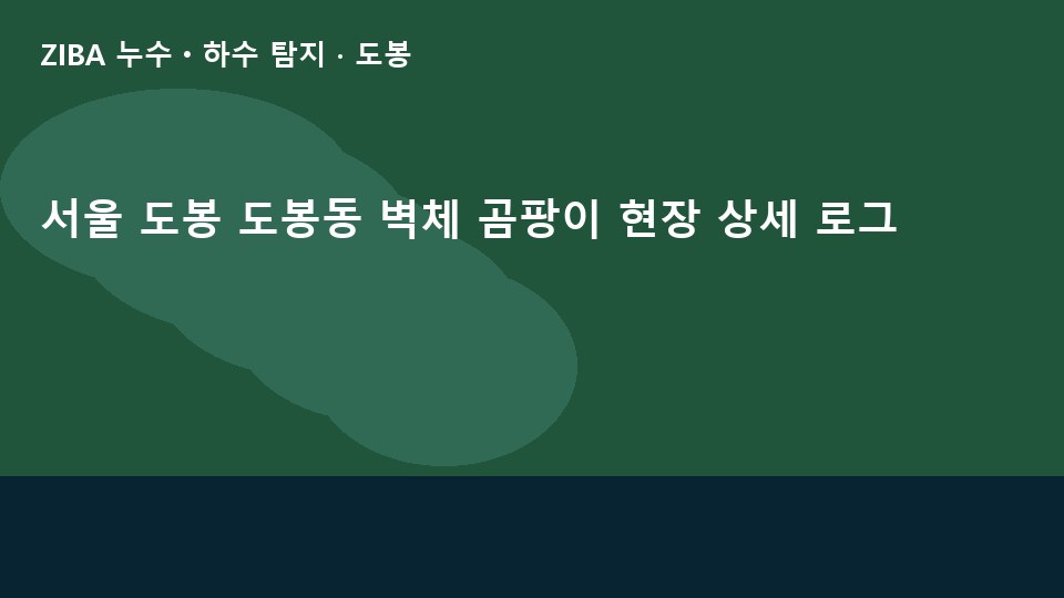 서울 도봉 도봉동 벽체 곰팡이 현장 상세 로그